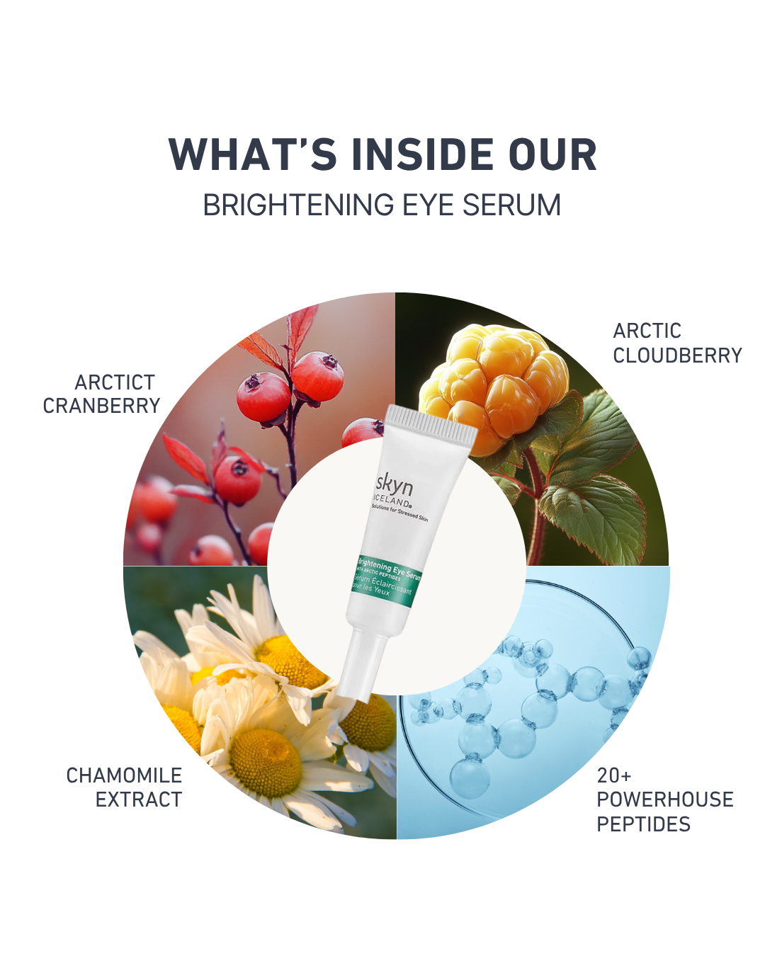 Brightening Eye Serum tube surrounded by illustrations of arctic cranberry, arctic cloudberry, chamomile extract, and.
