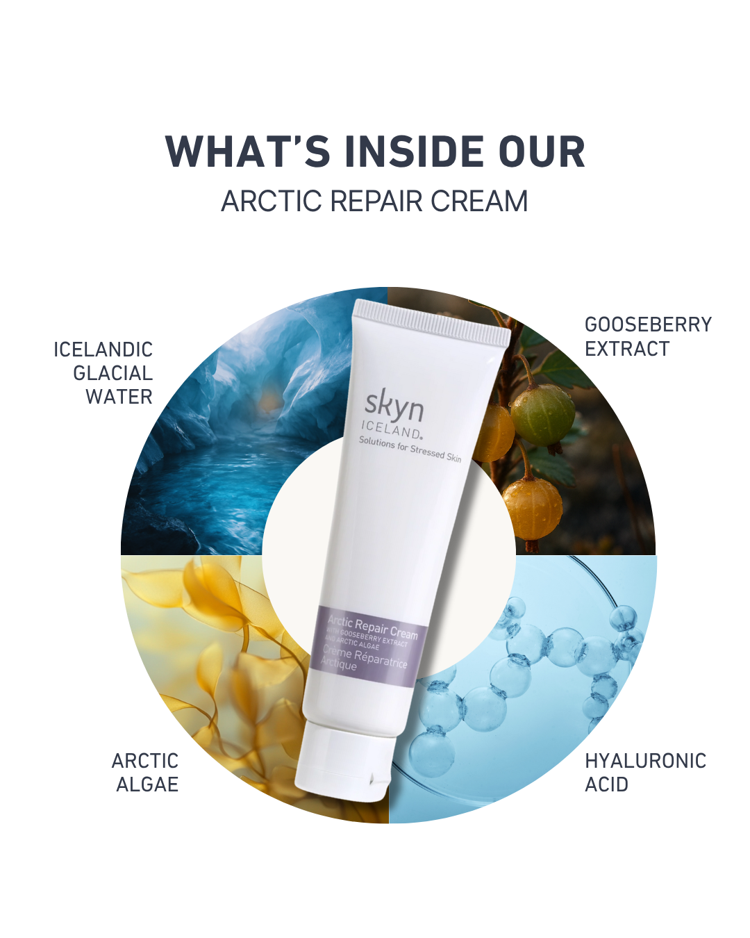Arctic Repair Cream tube surrounded by icons of Icelandic glacial water, gooseberry extract, arctic algae, and hyaluronic.