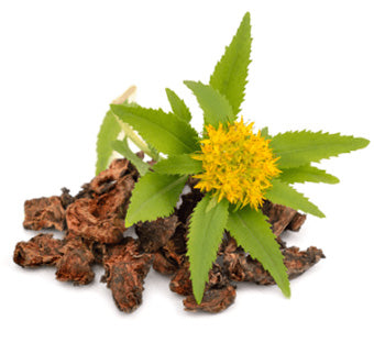 Arctic Rhodiola Rosea