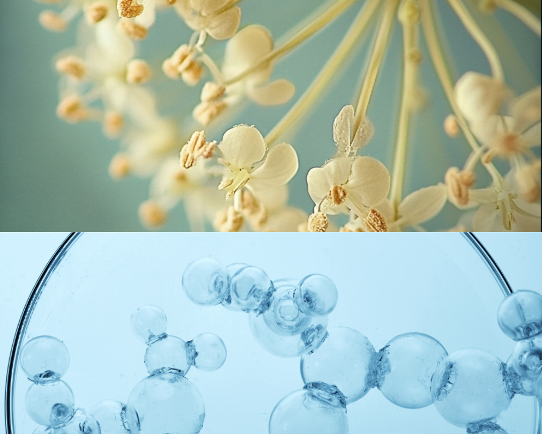 Why Combining Nature and Advanced Science Transforms Your Skin