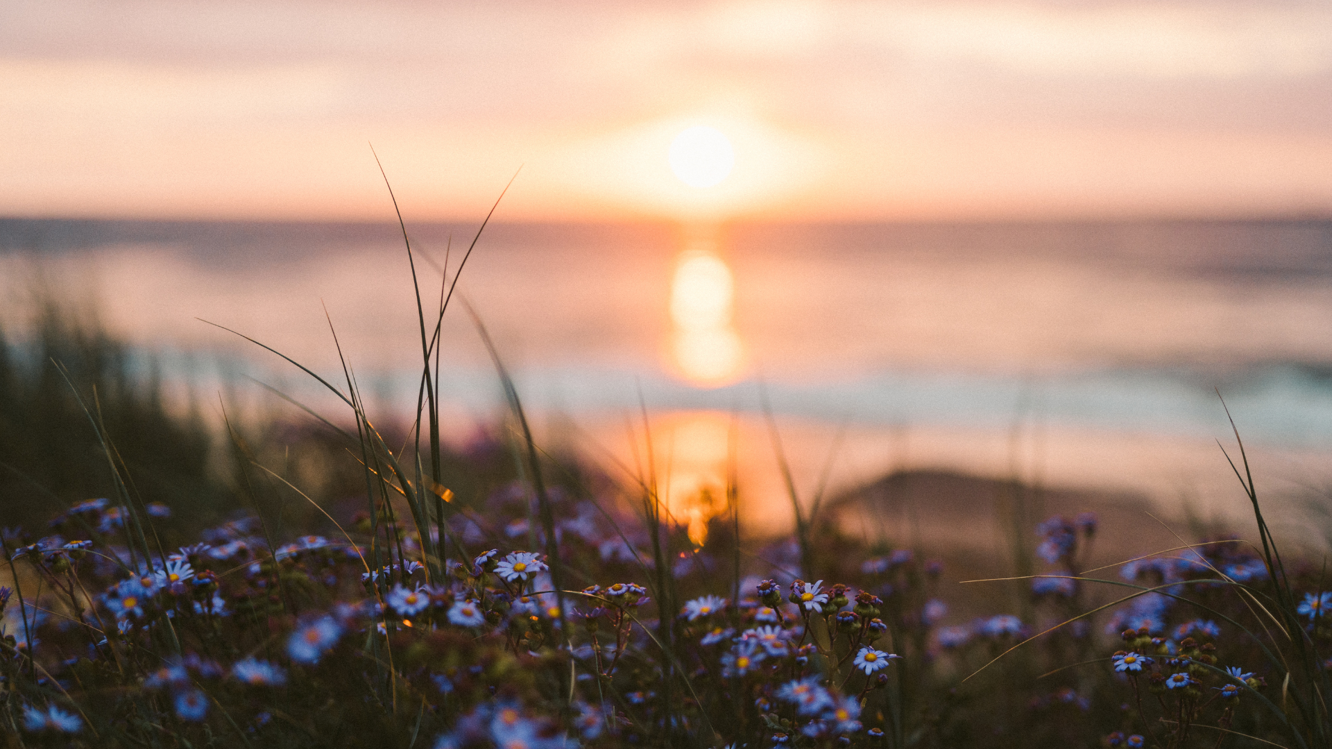 Surviving the Summer Solstice: How Extended Daylight Disrupts Your Skin's Circadian Rhythm