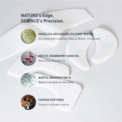 White cream swatches with infographic circles detailing Angelica root water, cranberry seed oil, hexapeptide-8, and copper.